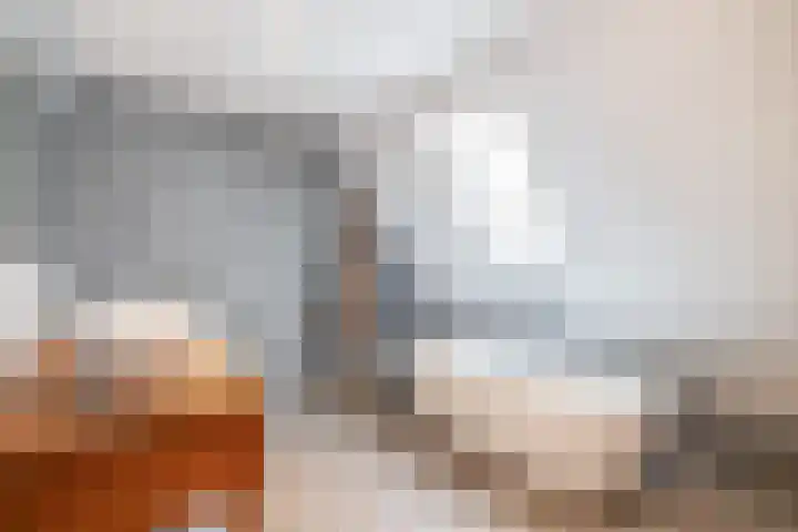 Albertlaan 31 Sterksel thumbnail 30