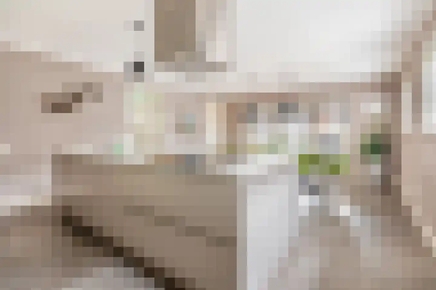 Albertlaan 31 Sterksel thumbnail 35