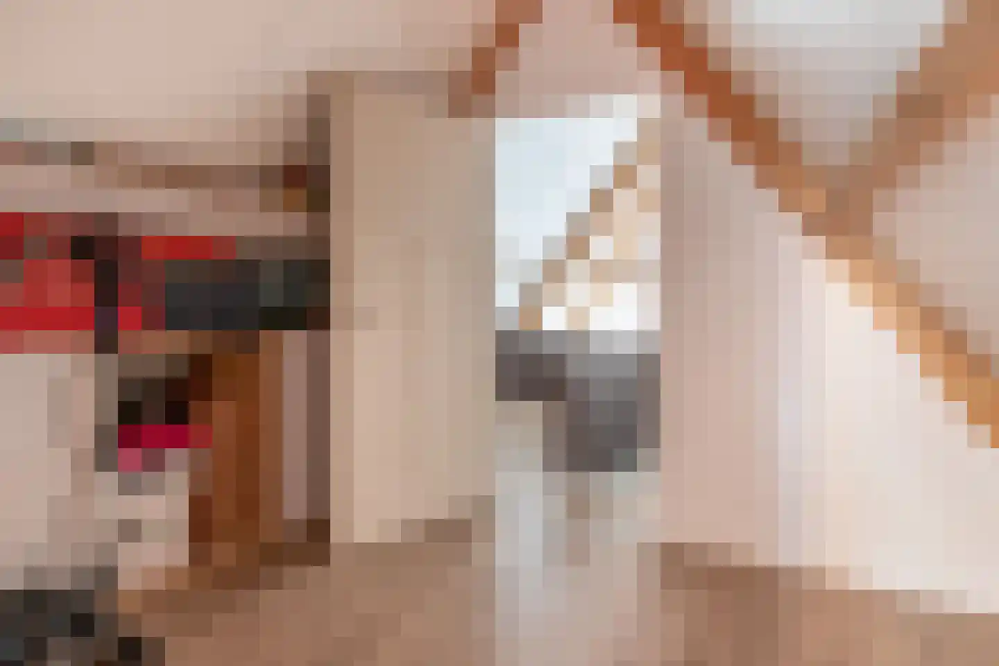 Albertlaan 31 Sterksel thumbnail 36