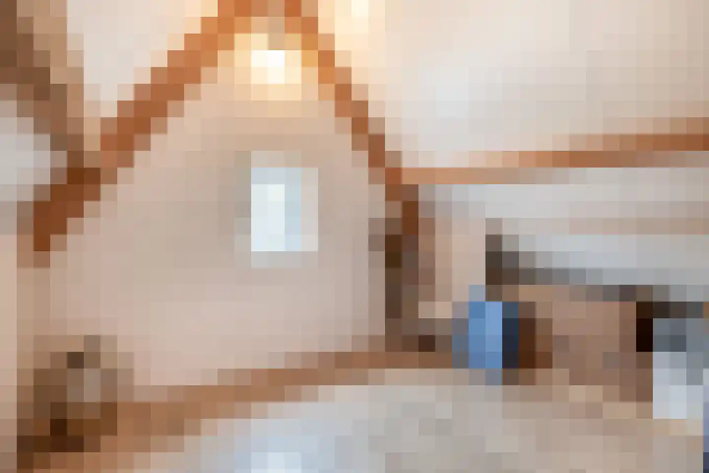 Albertlaan 31 Sterksel thumbnail 37