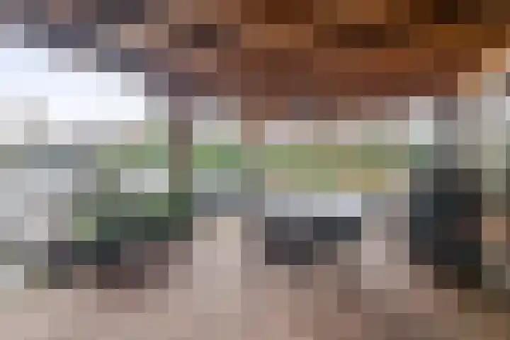 Albertlaan 31 Sterksel thumbnail 38