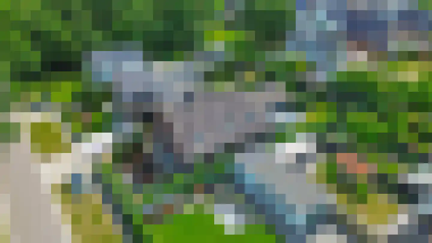 Albertlaan 31 Sterksel thumbnail 4