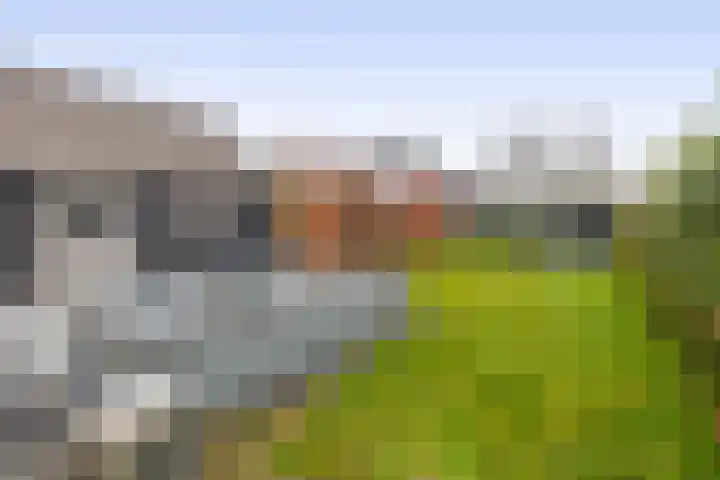 Albertlaan 31 Sterksel thumbnail 4