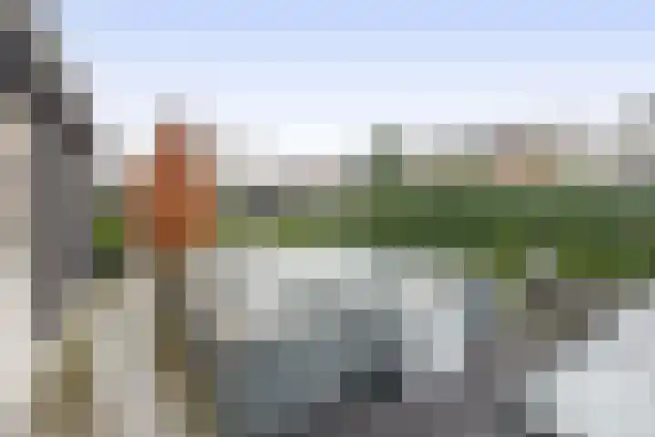 Albertlaan 31 Sterksel thumbnail 40