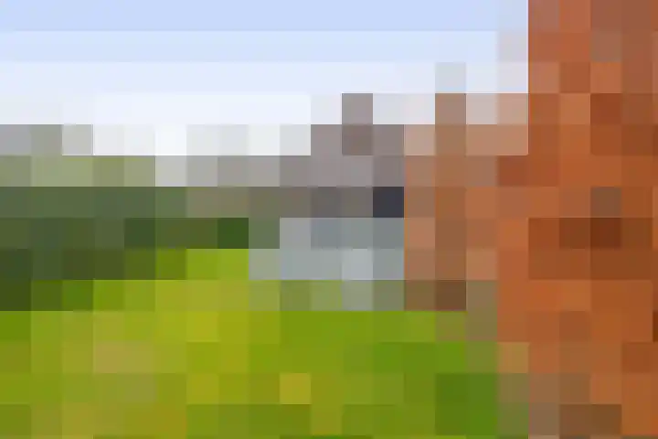 Albertlaan 31 Sterksel thumbnail 41