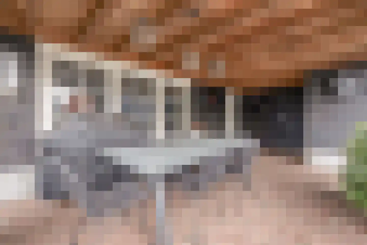 Albertlaan 31 Sterksel thumbnail 42