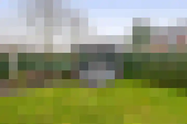 Albertlaan 31 Sterksel thumbnail 42