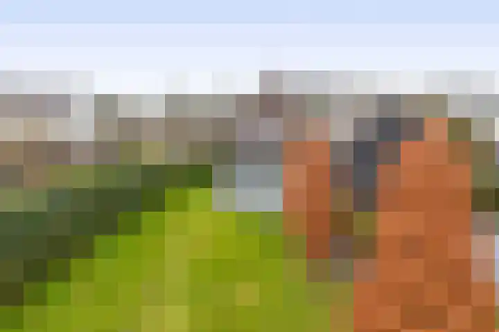 Albertlaan 31 Sterksel thumbnail 43