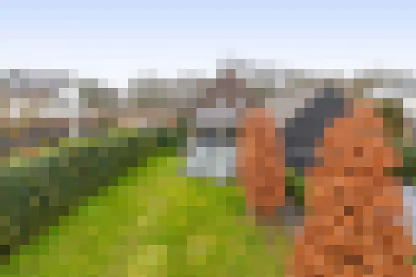 Albertlaan 31 Sterksel thumbnail 43