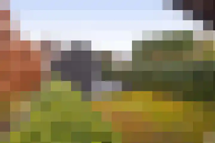 Albertlaan 31 Sterksel thumbnail 44