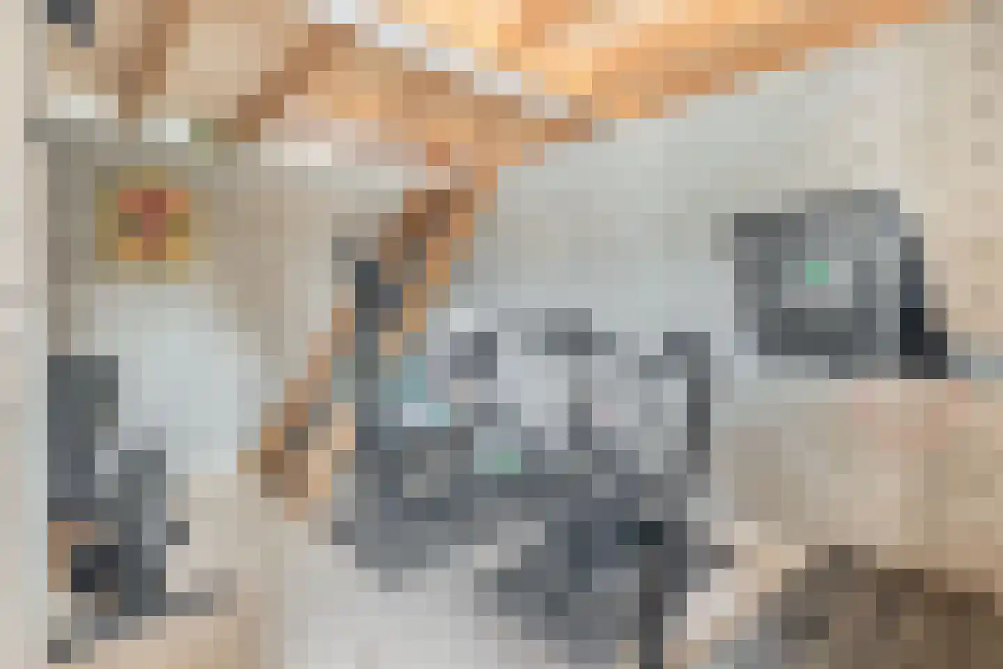 Albertlaan 31 Sterksel thumbnail 45