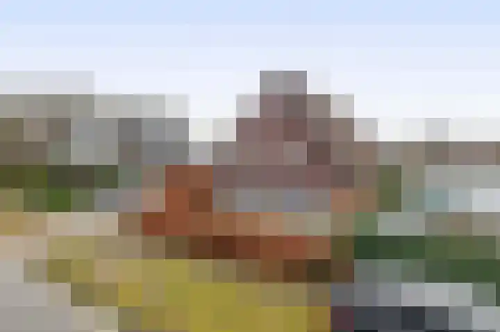 Albertlaan 31 Sterksel thumbnail 5