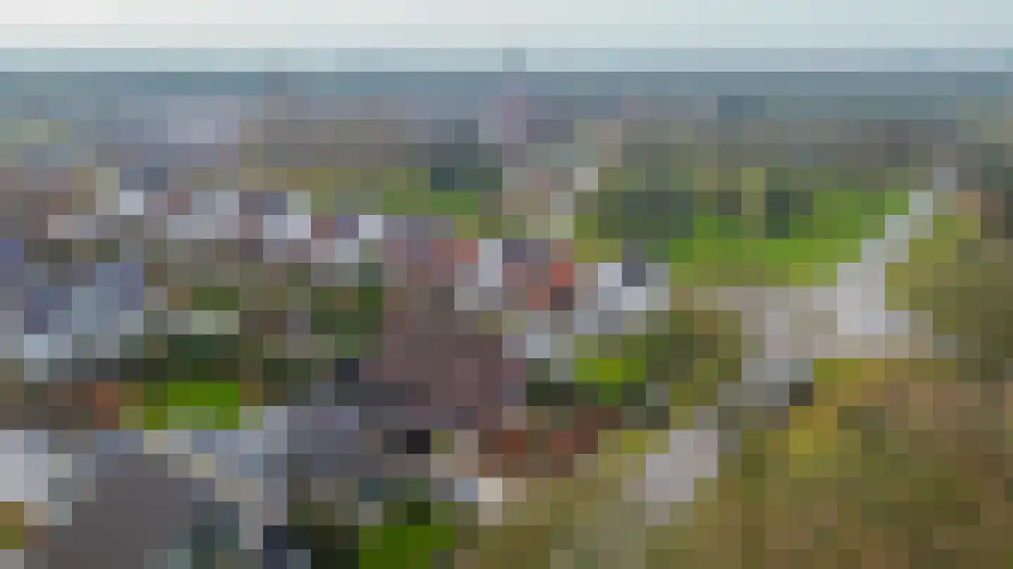 Albertlaan 31 Sterksel thumbnail 51