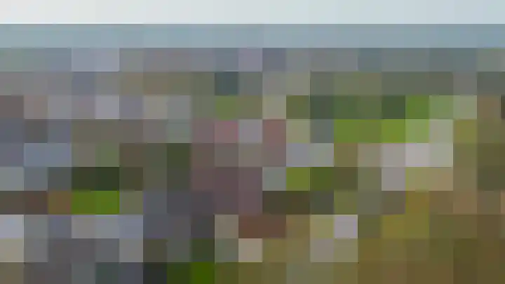 Albertlaan 31 Sterksel thumbnail 51