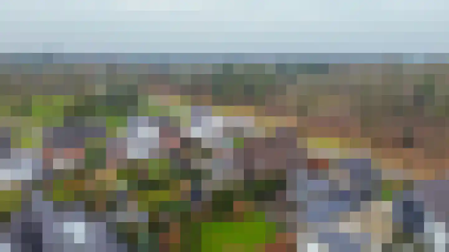 Albertlaan 31 Sterksel thumbnail 54