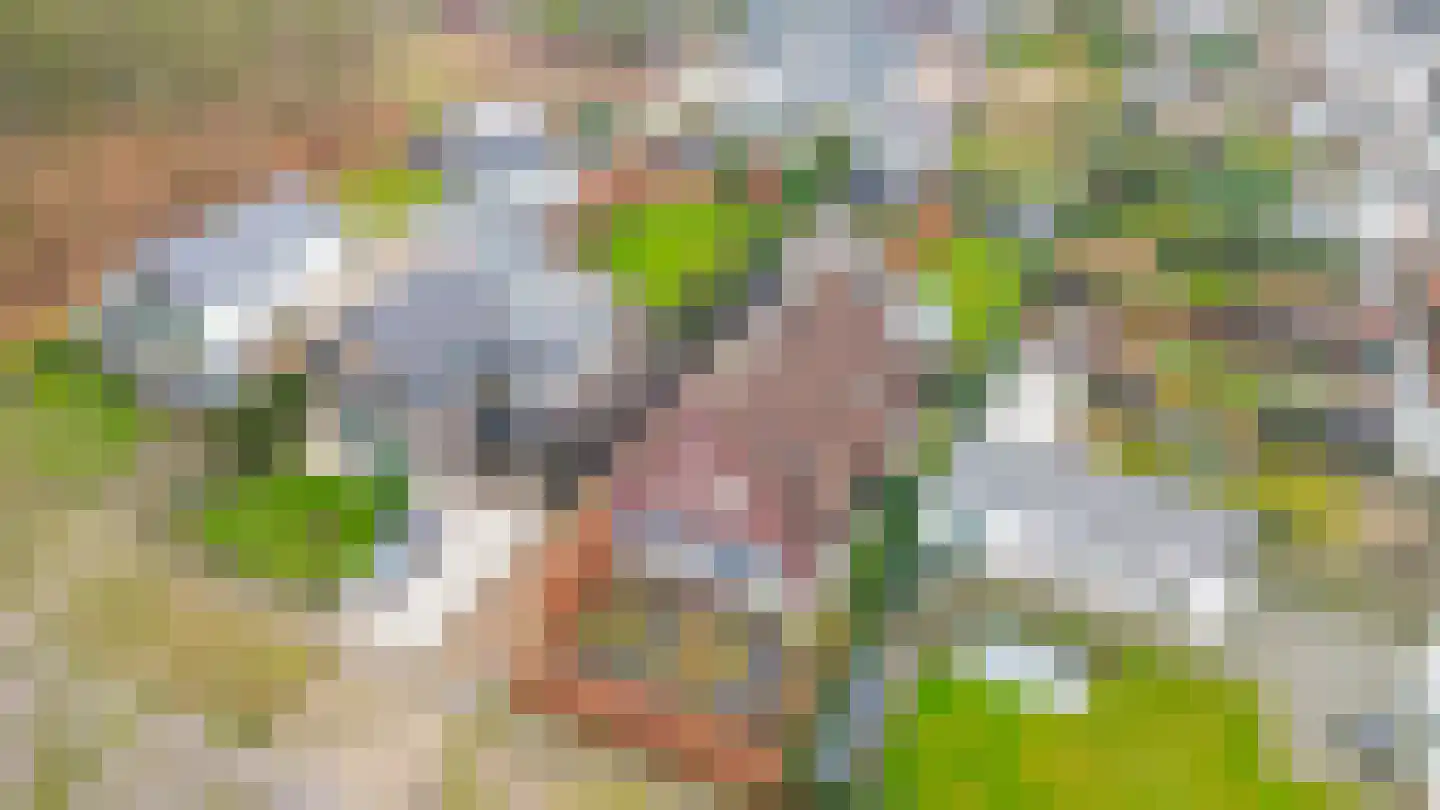 Albertlaan 31 Sterksel thumbnail 55