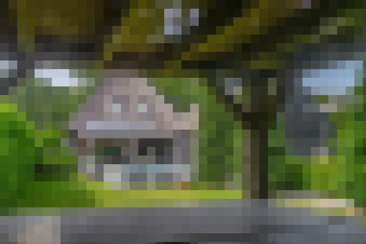 Albertlaan 31 Sterksel thumbnail 56