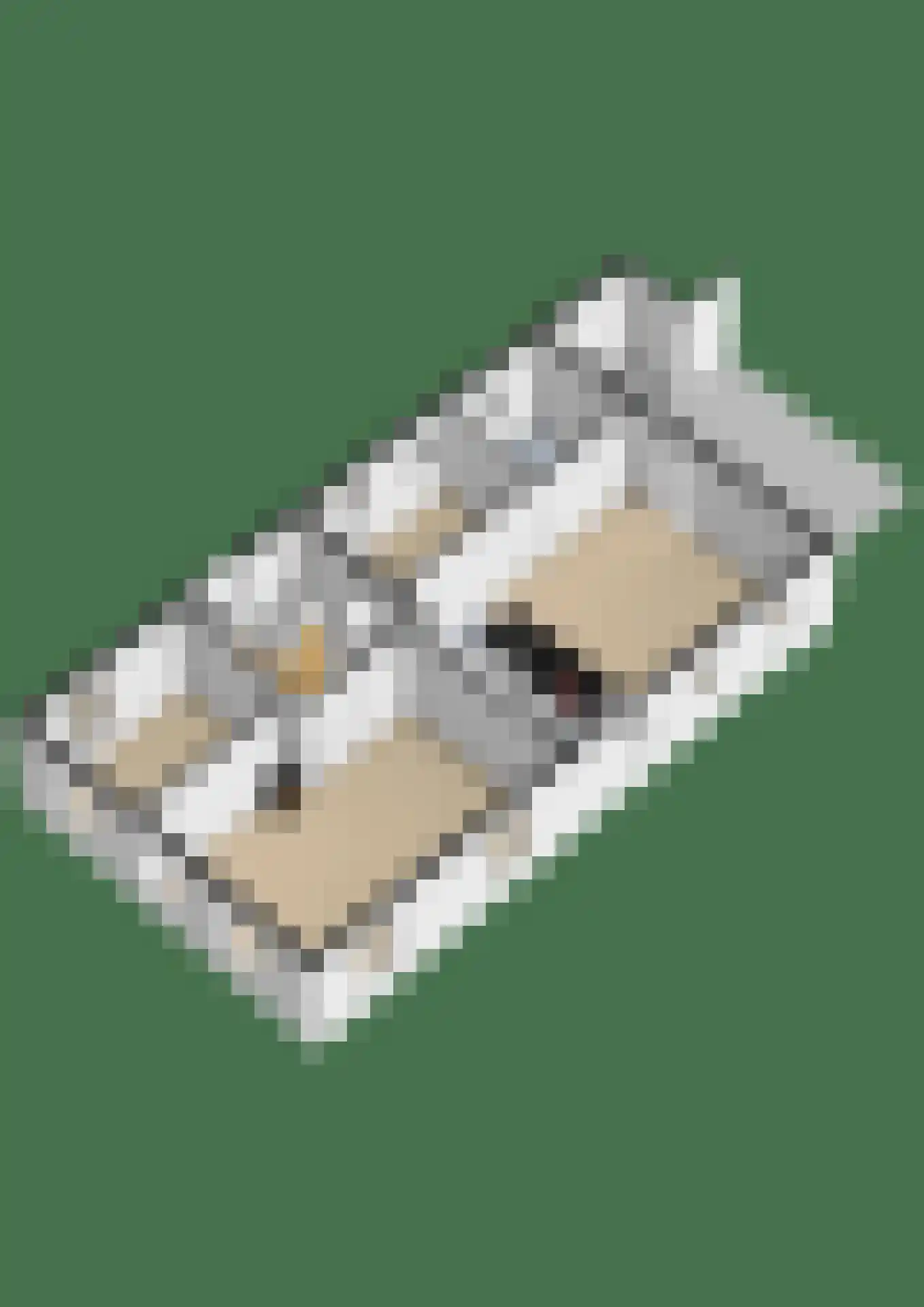 Albertlaan 31 Sterksel thumbnail 57