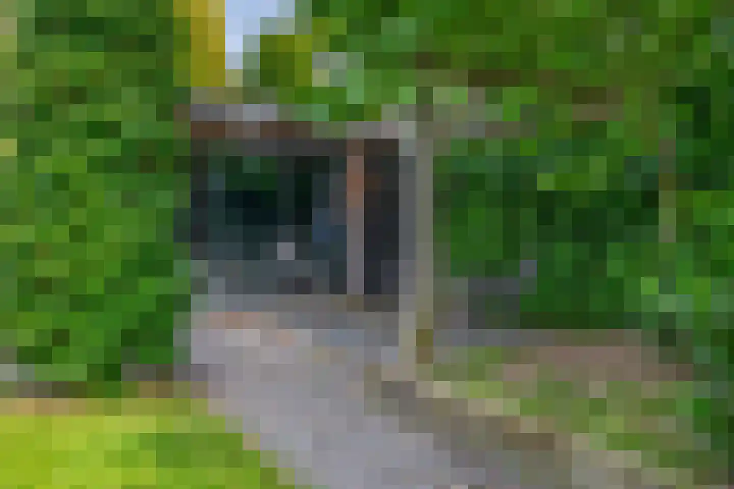 Albertlaan 31 Sterksel thumbnail 6