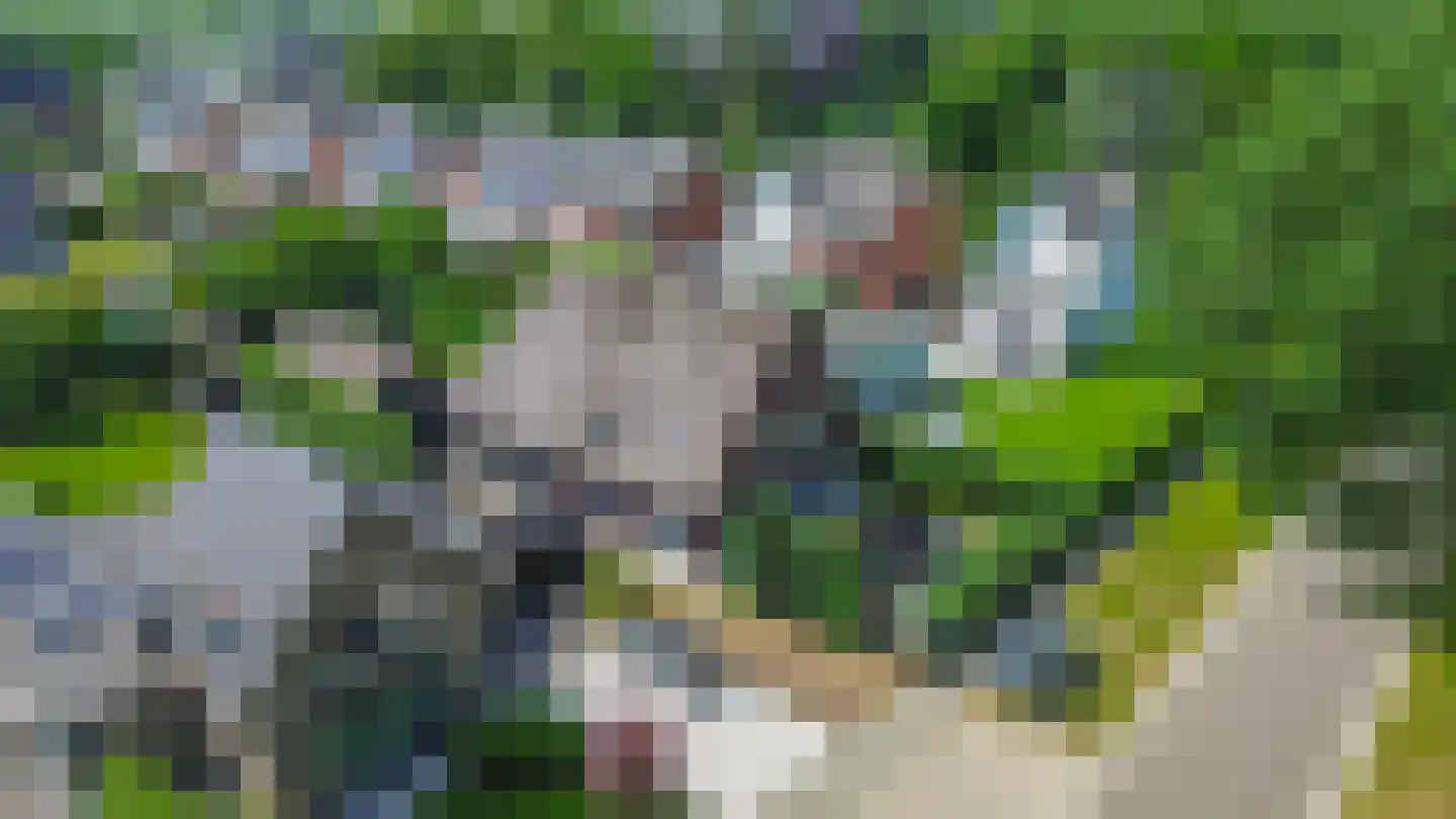 Albertlaan 31 Sterksel thumbnail 61