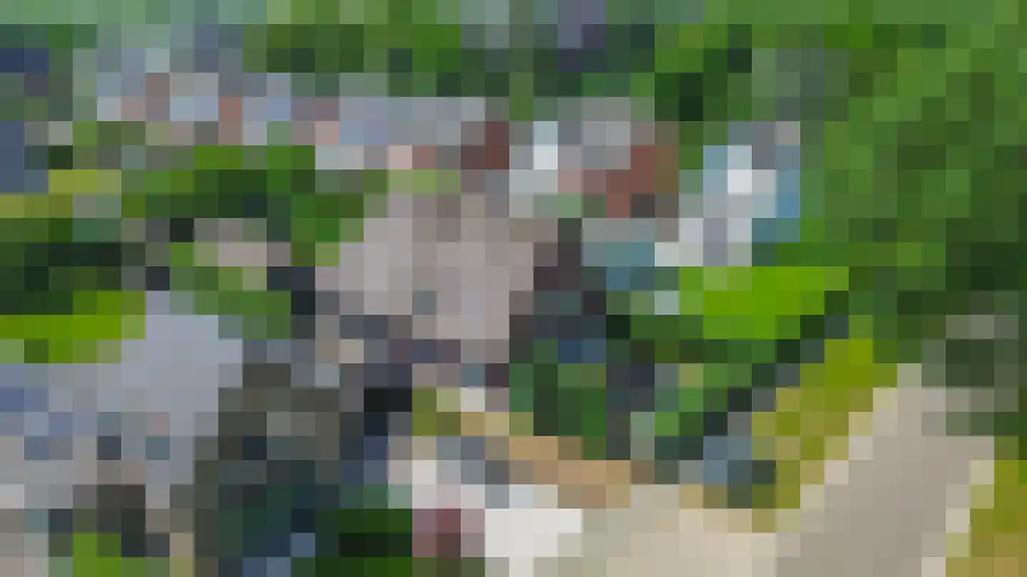 Albertlaan 31 Sterksel thumbnail 62