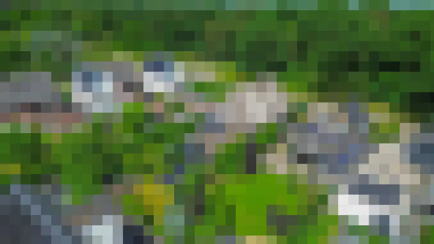 Albertlaan 31 Sterksel thumbnail 63