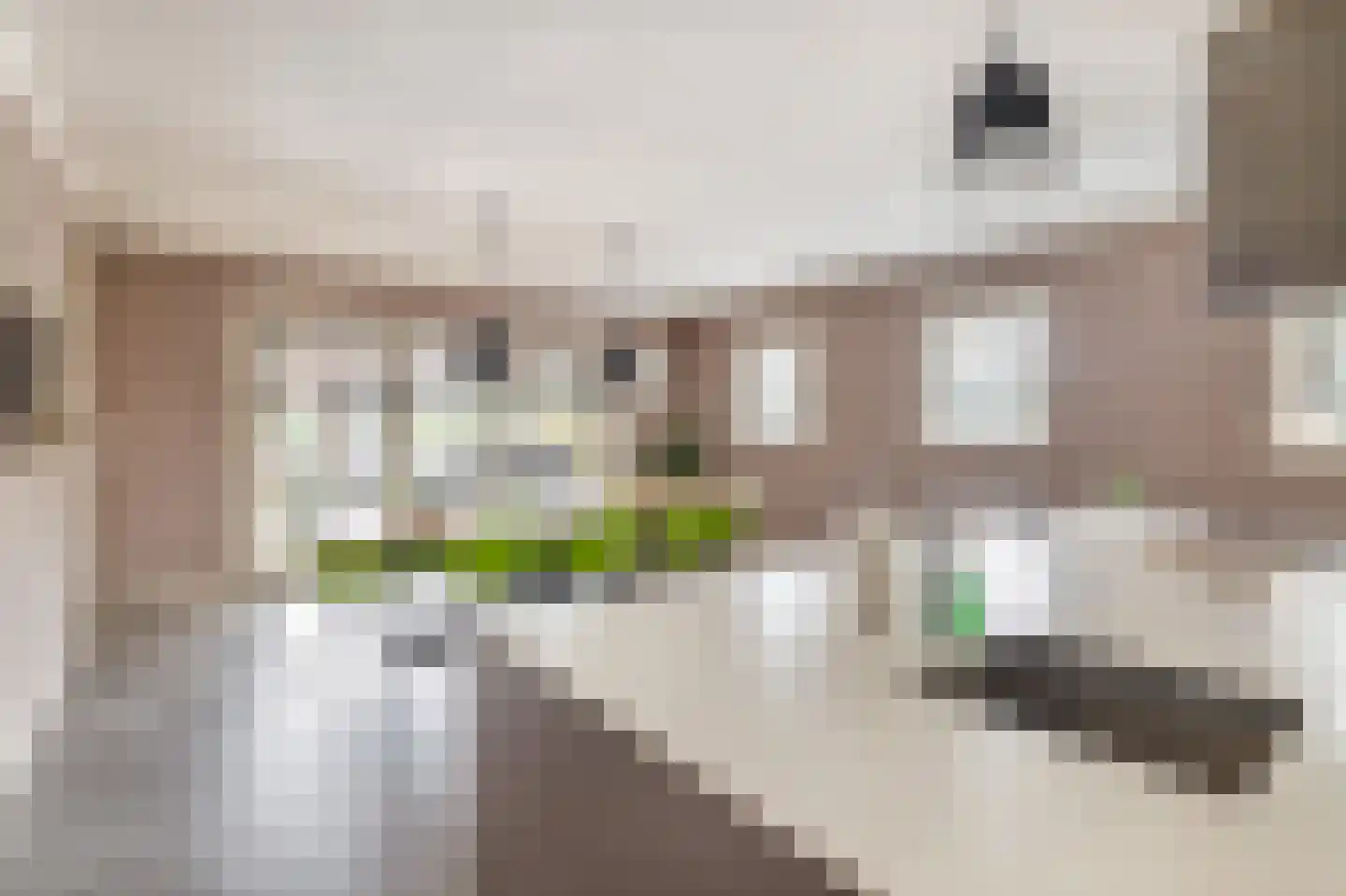 Albertlaan 31 Sterksel thumbnail 8