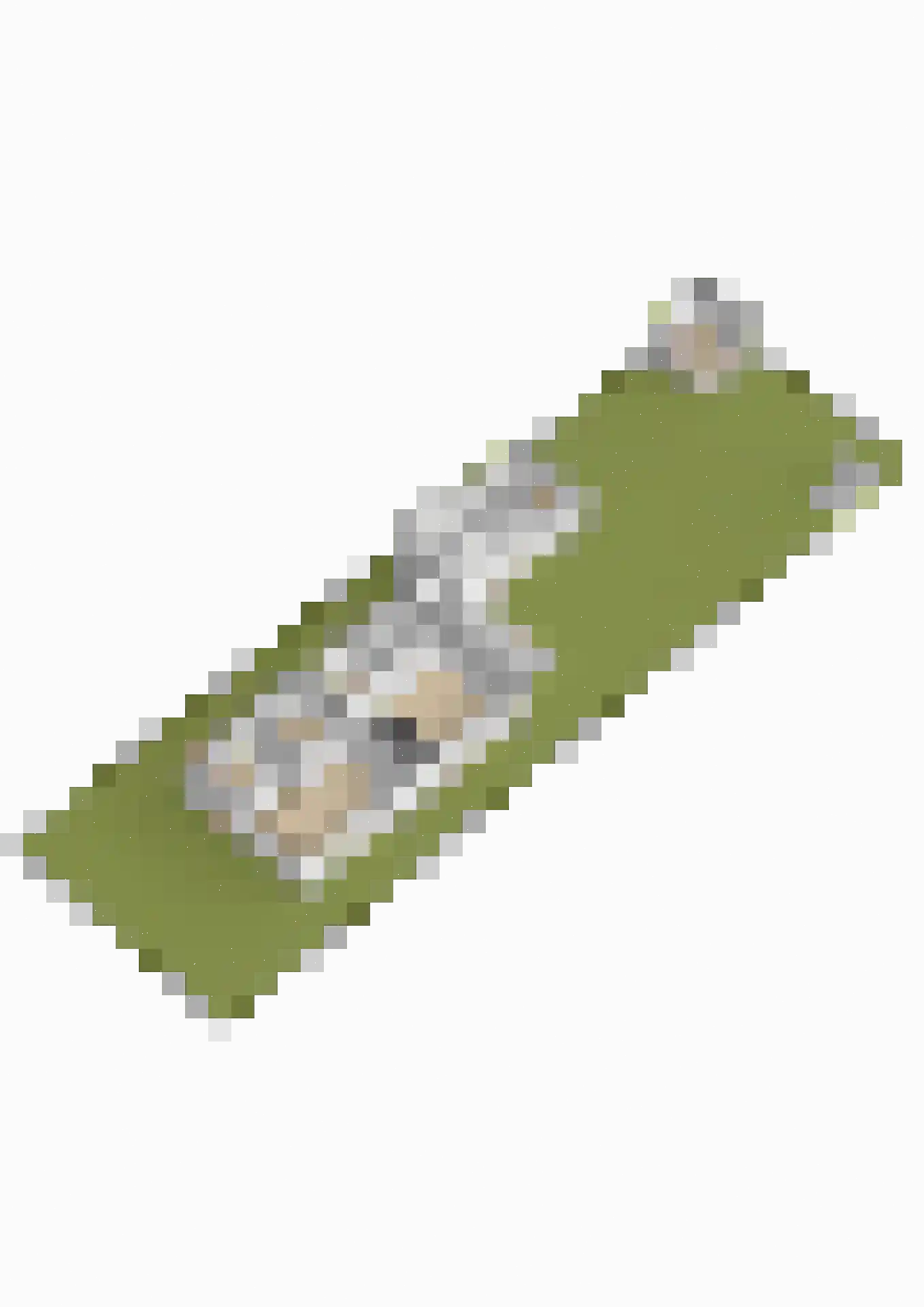 Albertlaan 31 Sterksel thumbnail 81