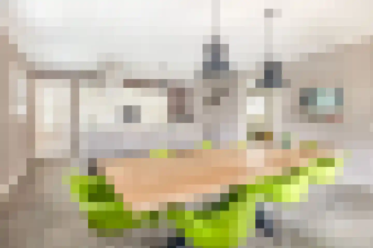 Albertlaan 31 Sterksel thumbnail 9