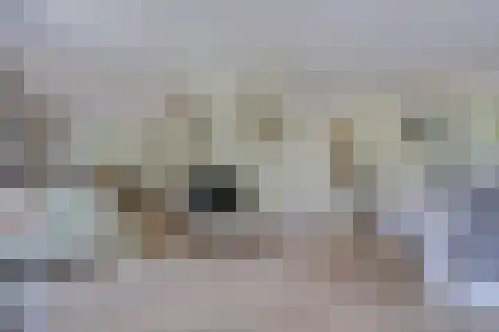Albertlaan 35 Nunspeet thumbnail 10