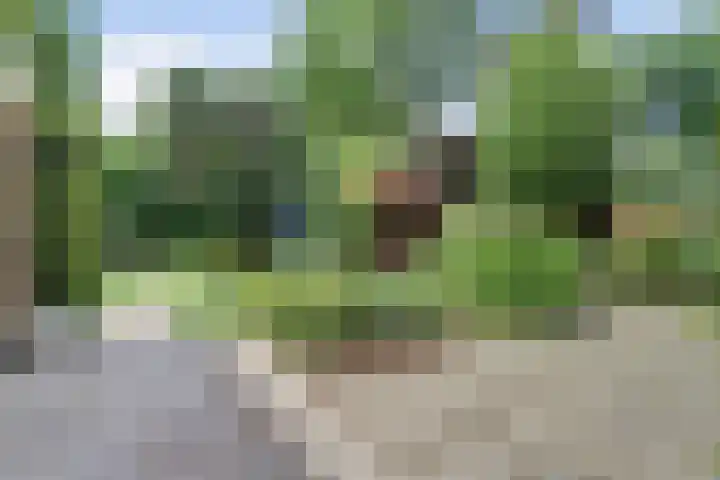 Albertlaan 35 Nunspeet thumbnail 40