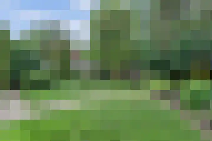 Albertlaan 35 Nunspeet thumbnail 42