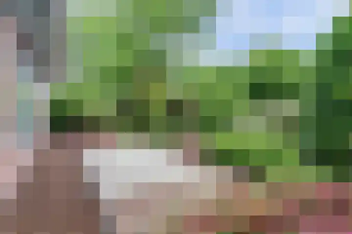 Albertlaan 35 Nunspeet thumbnail 47