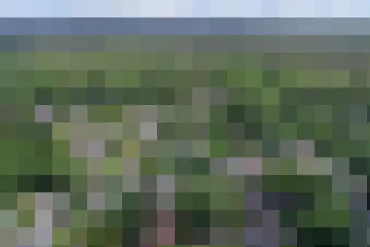 Albertlaan 35 Nunspeet thumbnail 48