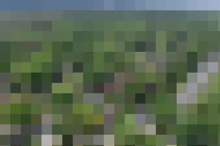 Albertlaan 35 Nunspeet thumbnail 50