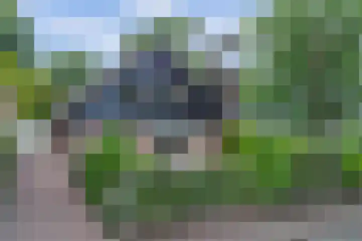 Albertlaan 35 Nunspeet thumbnail 56