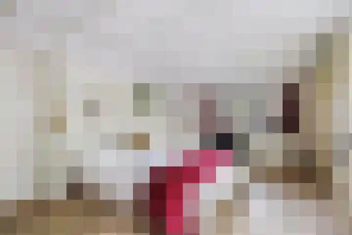 Albertlaan 8 Nunspeet thumbnail 20