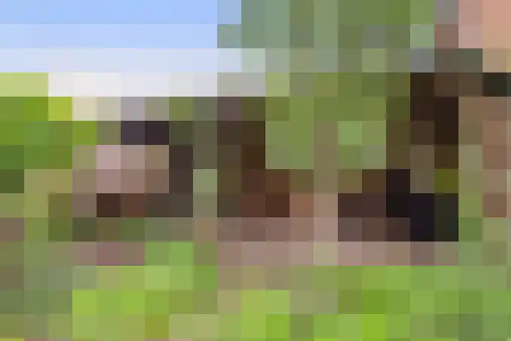 Albertlaan 8 Nunspeet thumbnail 32