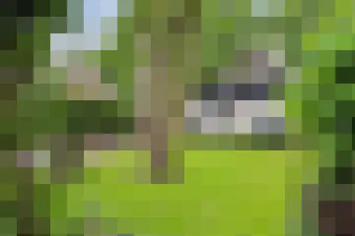 Albertlaan 8 Nunspeet thumbnail 33