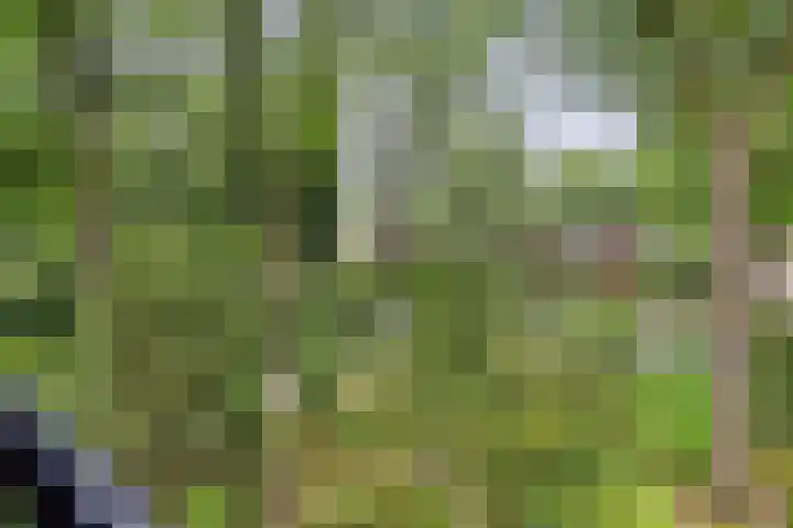 Albertlaan 8 Nunspeet thumbnail 36