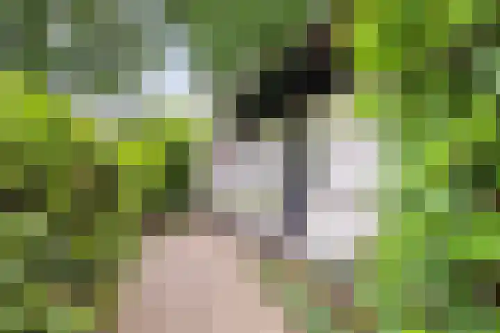 Albertlaan 8 Nunspeet thumbnail 7