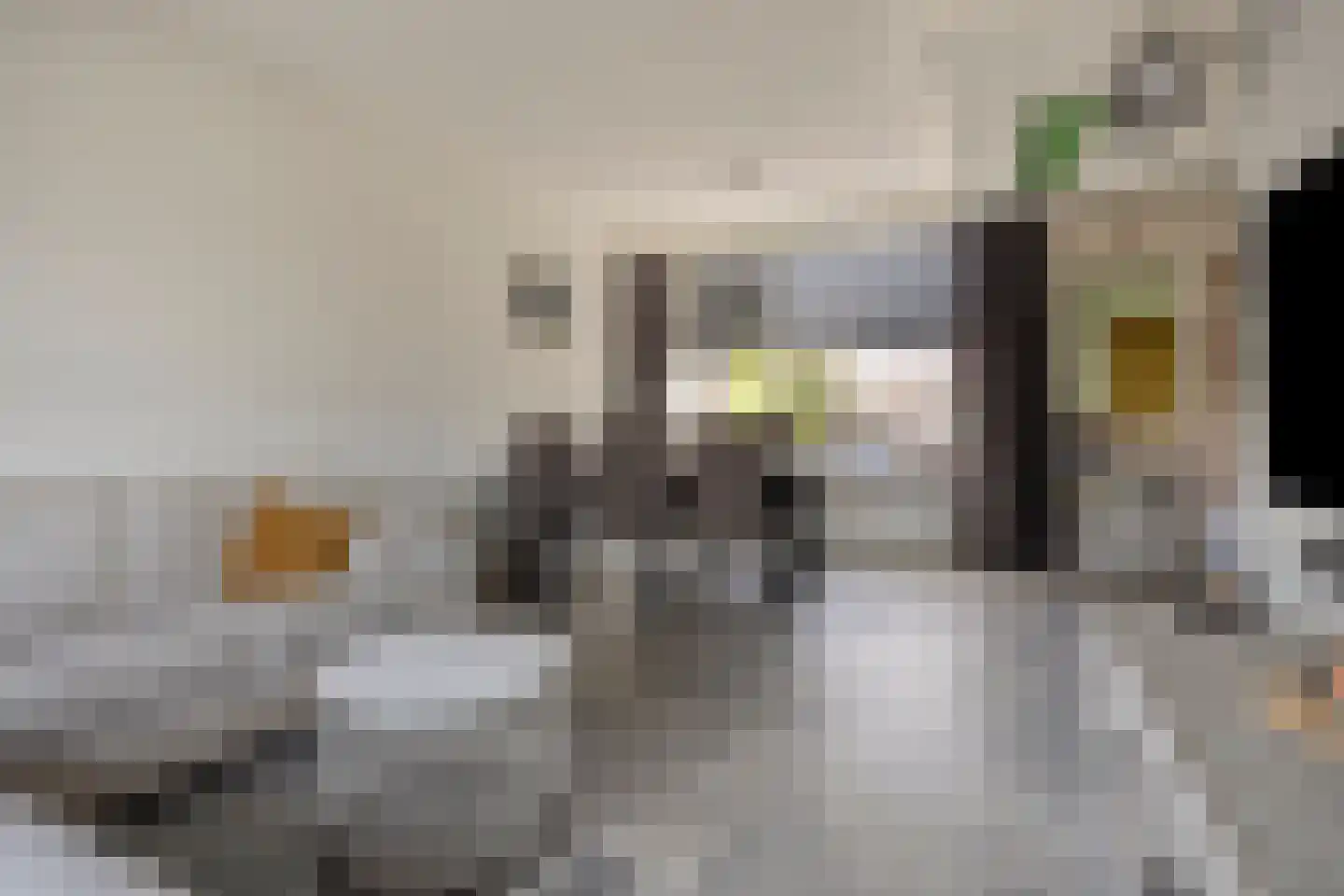 Albertpolderstraat 22 Sluiskil thumbnail 12