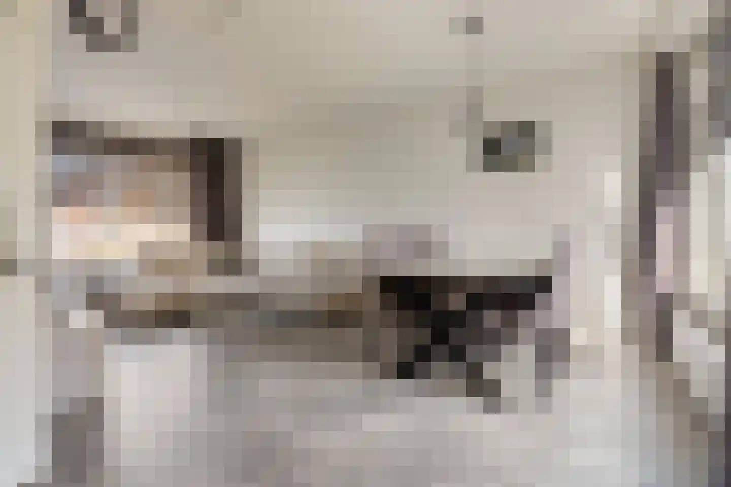 Albertpolderstraat 22 Sluiskil thumbnail 13