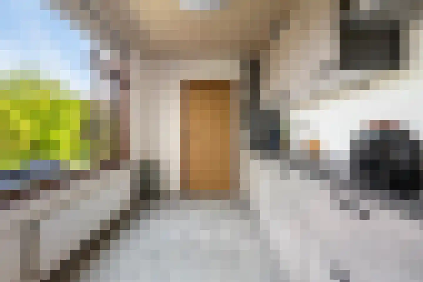 Albertpolderstraat 22 Sluiskil thumbnail 16