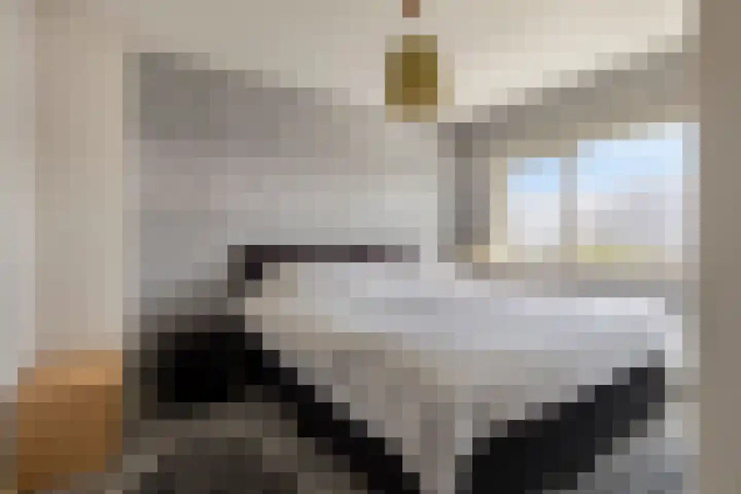 Albertpolderstraat 22 Sluiskil thumbnail 22