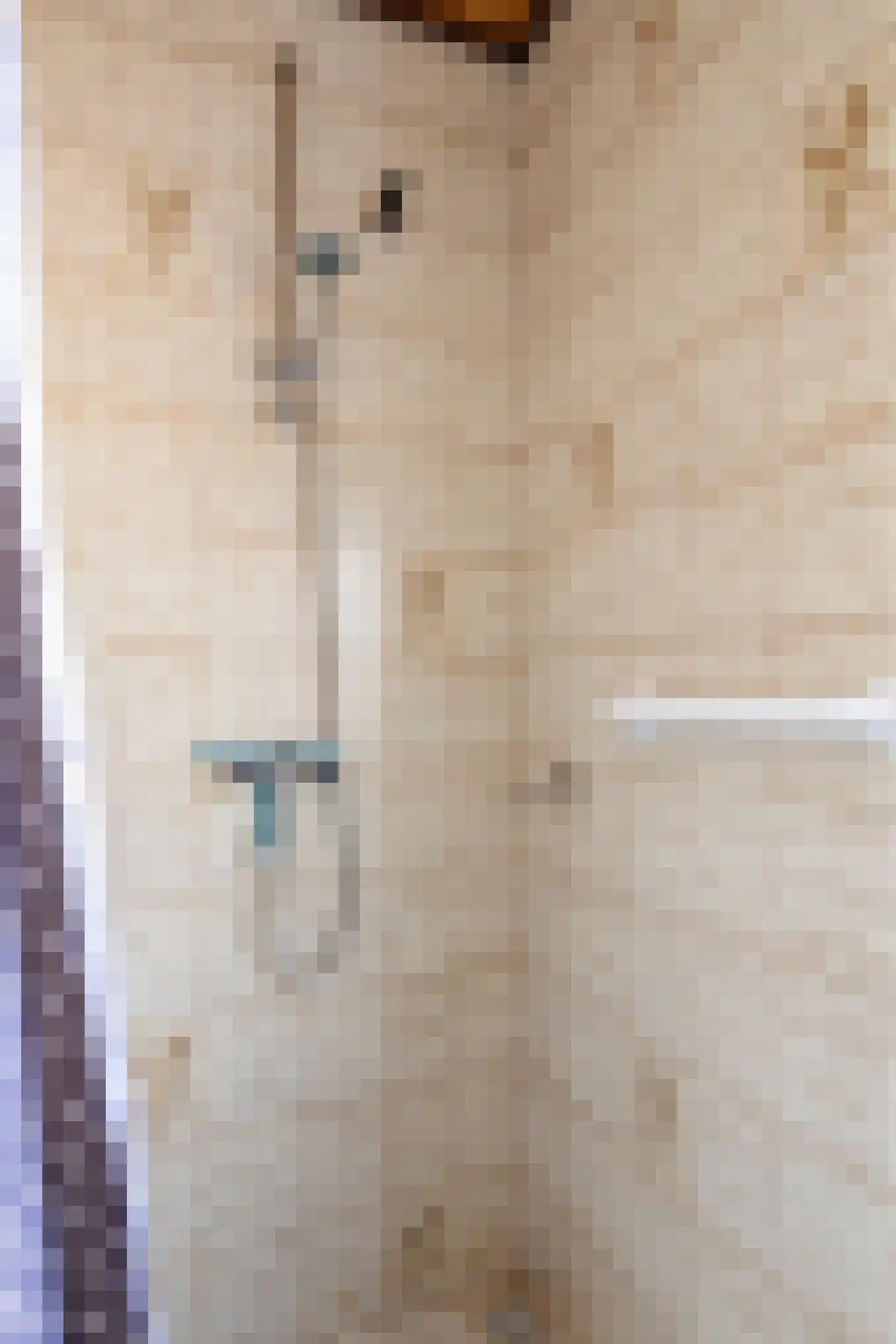 Albertpolderstraat 22 Sluiskil thumbnail 25