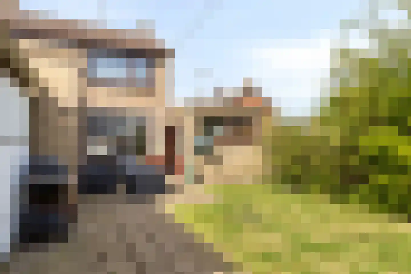 Albertpolderstraat 22 Sluiskil thumbnail 32