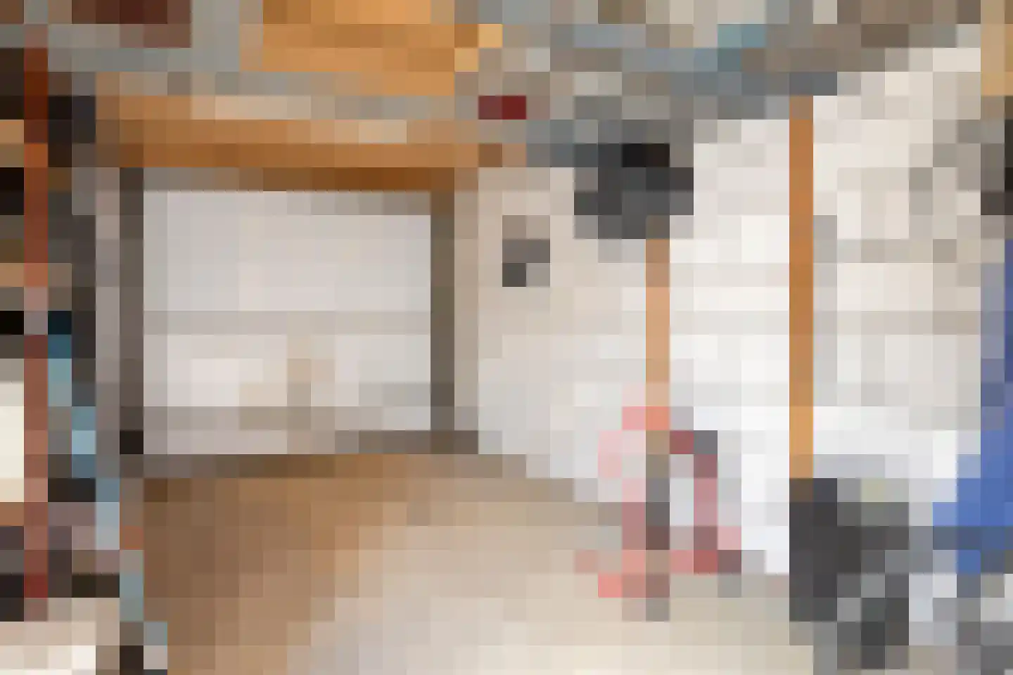 Albertpolderstraat 22 Sluiskil thumbnail 33