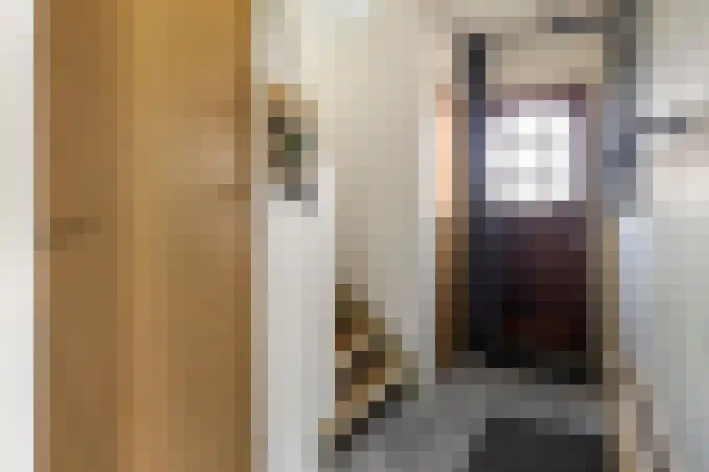 Albertpolderstraat 22 Sluiskil thumbnail 7