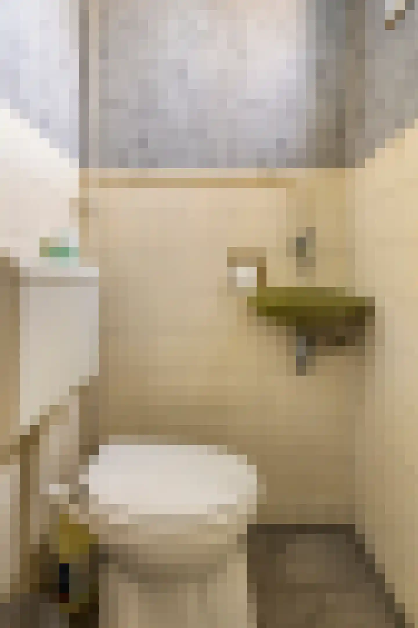 Albertpolderstraat 22 Sluiskil thumbnail 9